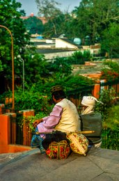 Architecture;-Bagages;-Calotte;-Delhi;-Hommes;-Inde;-Islam;-Jama-Masjid;-Kaleidos;-Kaleidos-images;-La-parole-à-limage;-Mosquée;-Sacs-de-voyage;-Stories-Pictures;-Tarek-Charara;-Toits;-Végétation;-Vieux-Delhi